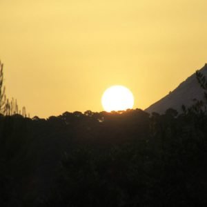Inspire and Evolve - Teacher's CPD Retreat