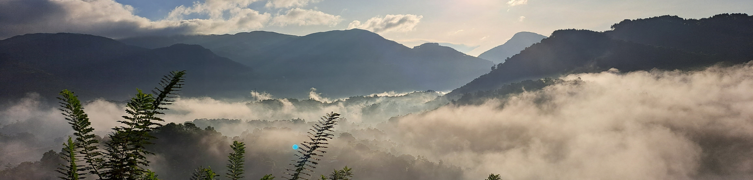 Sri Lanka - Yoga & Wellbeing Retreat