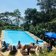 Sri Lanka - Yoga & Wellbeing Retreat - Pool