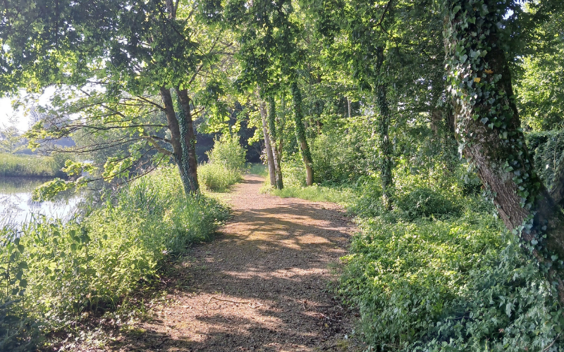Yoga Retreat in the Cotswolds